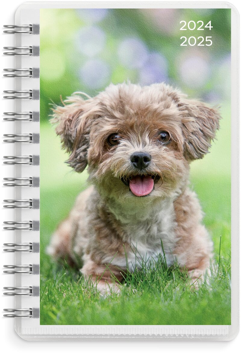 Kalender 24/25 Compact Pets