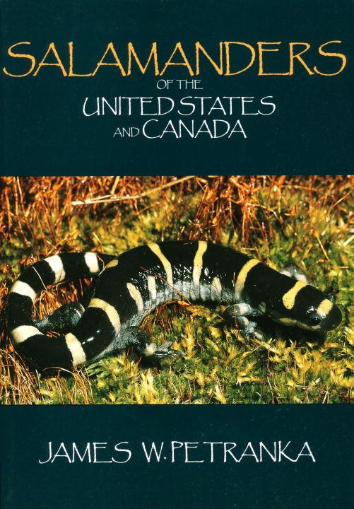 Salamanders Of The United States And Canada