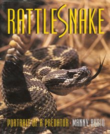 Rattlesnake